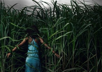 Crítica | Campo do Medo