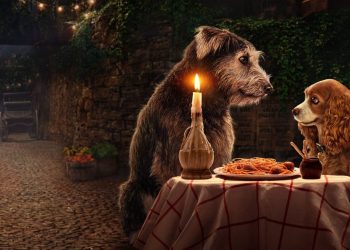 A Dama e o Vagabundo Disney Plus