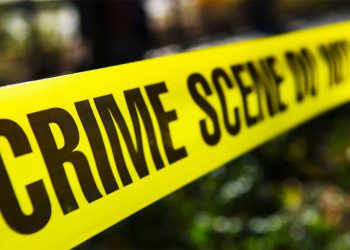 Dica de Leitura | 5 livros sobre psicopatas que você precisa conhecer